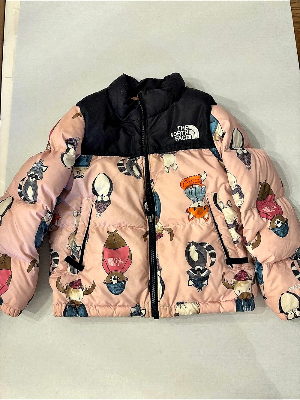 The North Face Toddler 1996 Retro Nuptse Jacket Pink & Black Boys 5T